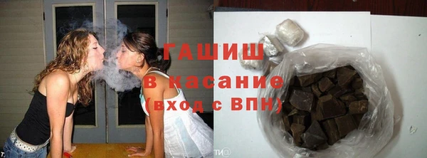 стафф Касимов