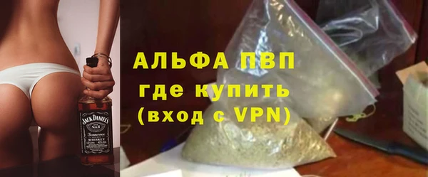 стафф Касимов