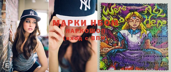 стафф Касимов