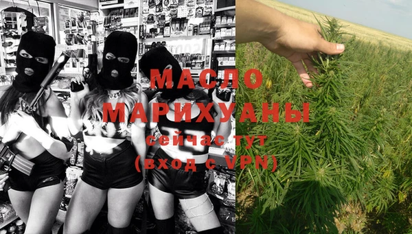 стафф Касимов