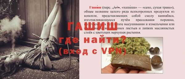 стафф Касимов