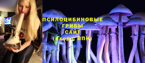 стафф Касимов