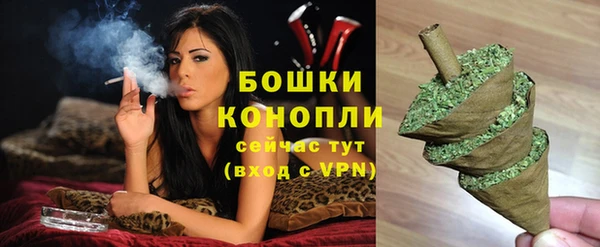 стафф Касимов