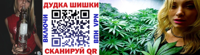 как найти наркотики  Ясногорск  Канабис планчик 